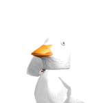 @CHIKENPACOC
