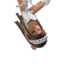 @NotXCookiePandaX