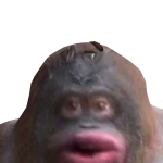 @rollermanjonah