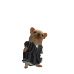 @Holpkmp