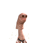 @statvrn