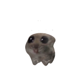 ahswysg2