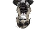 @Riddhigamer_omg