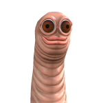 @Lixquizz