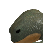 @jimthepoopyalt
