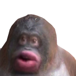 @NotMybeeWYE
