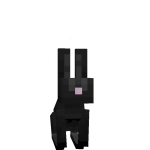 @asxtr000