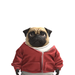 @AustintheCoolkid98