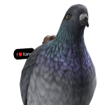 @farting2462