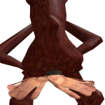 Laho