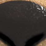 @ProjectLeafy