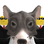 @duegeko