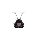 @alexcookie341