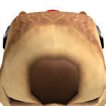 @971918681