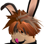 @Gamming_FurryBi