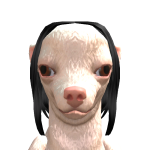 @41xhourz