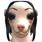 @Awhpolo