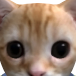 Ajaxappelflap033