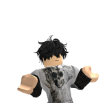 @Robloxplayerboy1246