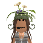 @dr0wsi