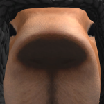 Nicht_Alex