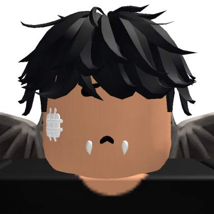 Roblox profile picture for @nvm
