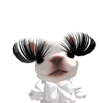 @oreoxdk