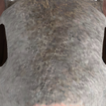 @Unkn0wnAcc0unts