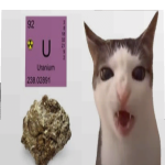 @hashbrownlowo0