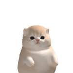@jeeecuweek23