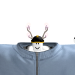 @N0o0p_RBLX