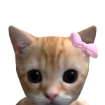 thicbooteimamiiiii