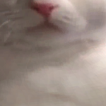 @0NETT64