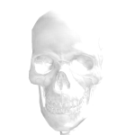 @Dexus1045
