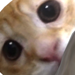 @TheBiggestOop