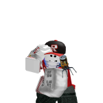 @RareWubboxGamer892