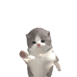 @djdhdhdhhdjjdjxjxj