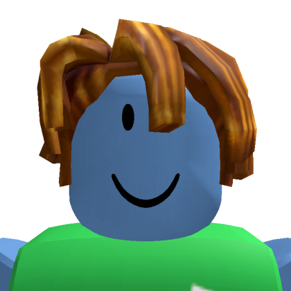 Roblox profile picture for @reinus5