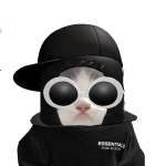 @velbin101