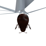 @NGK_80