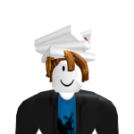 @PovinicinRBLX