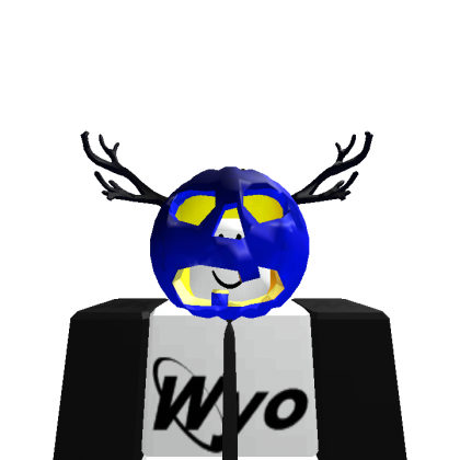Roblox profile picture for @Wyoming