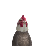 @AJ11DINOKid