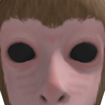 @gecko_god24822