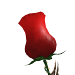 @EverythingRousei
