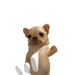 @livyuhs