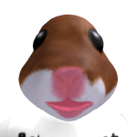 @soheilman