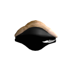 @MR_noobroblox1243