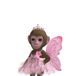 @Amelia_stars24k