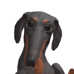 @C0PlEDK1TTY
